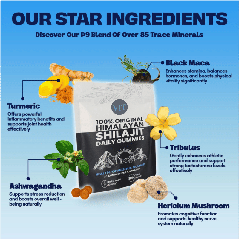 VITALISENCE® 100% ORIGINAL HIMALAYAN SHILAJIT DAILY GUMMIES