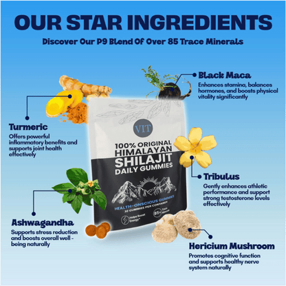 VITALISENCE® 100% ORIGINAL HIMALAYAN SHILAJIT DAILY GUMMIES
